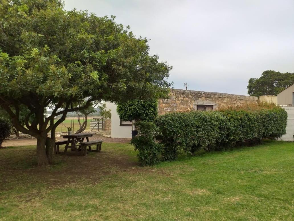 Die Buitekamer Bredasdorp Bagian luar foto
